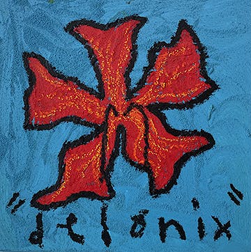 IMACRAE 5002 Delonix 20x20 Blue and Red Flower